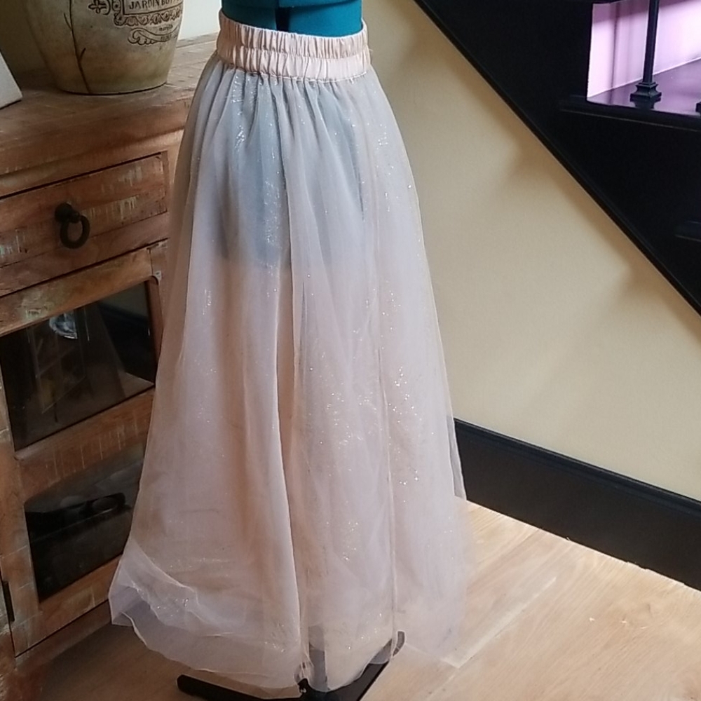 Forever 21 Sheer Glittery Maxi Skirt - SZ S - Picture 4 of 6